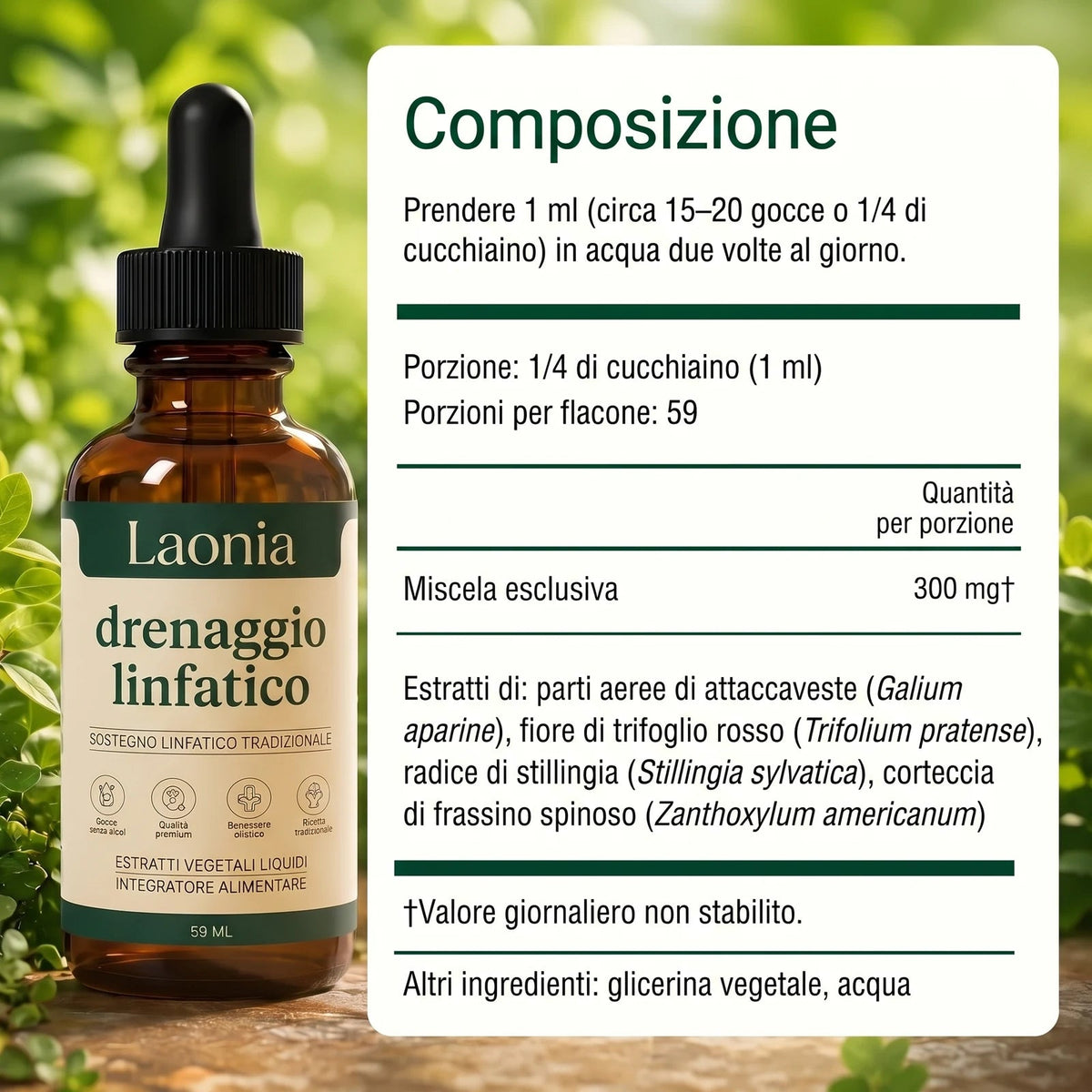 Composizione del Drenaggio Linfatico Laonia