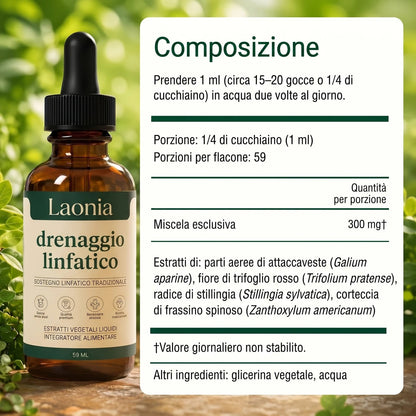 Composizione del Drenaggio Linfatico Laonia